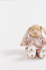 VINCENT HOPPERS ROSA