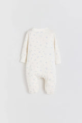 PJ JILL PETER