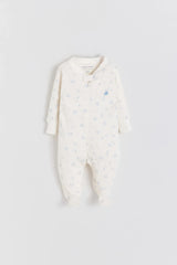 PJ JILL PETER
