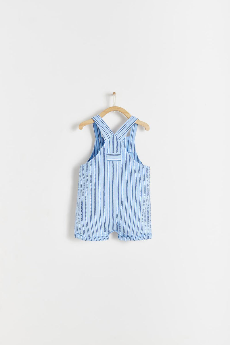 SHORTALL TIM NIMES