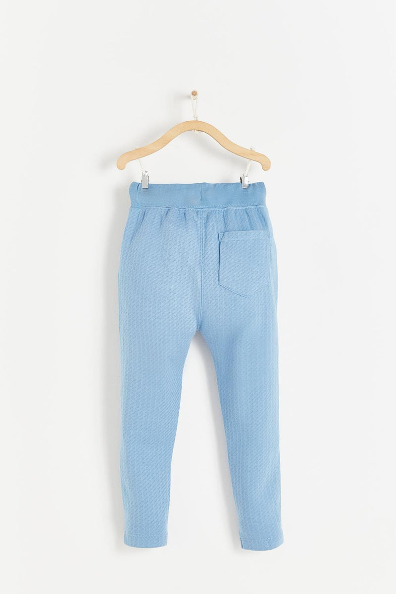 JOGGER DOTS DAISY