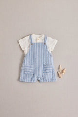 SHORTALL TIM NEMO