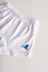 SET BOXER X2 DINO