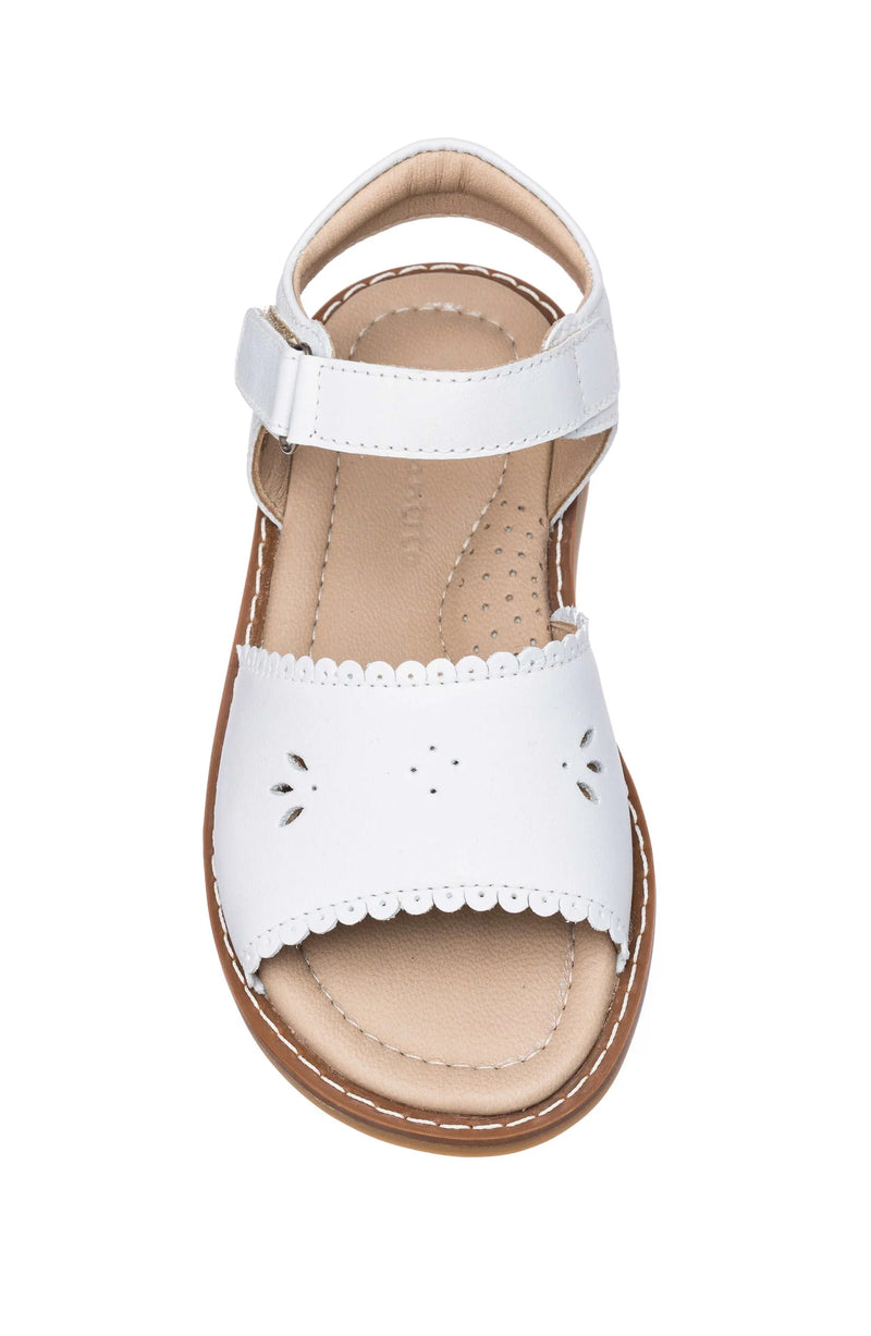 Classic Sandal w/scallop talc