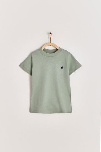 Camisa t shirt verde pima colors