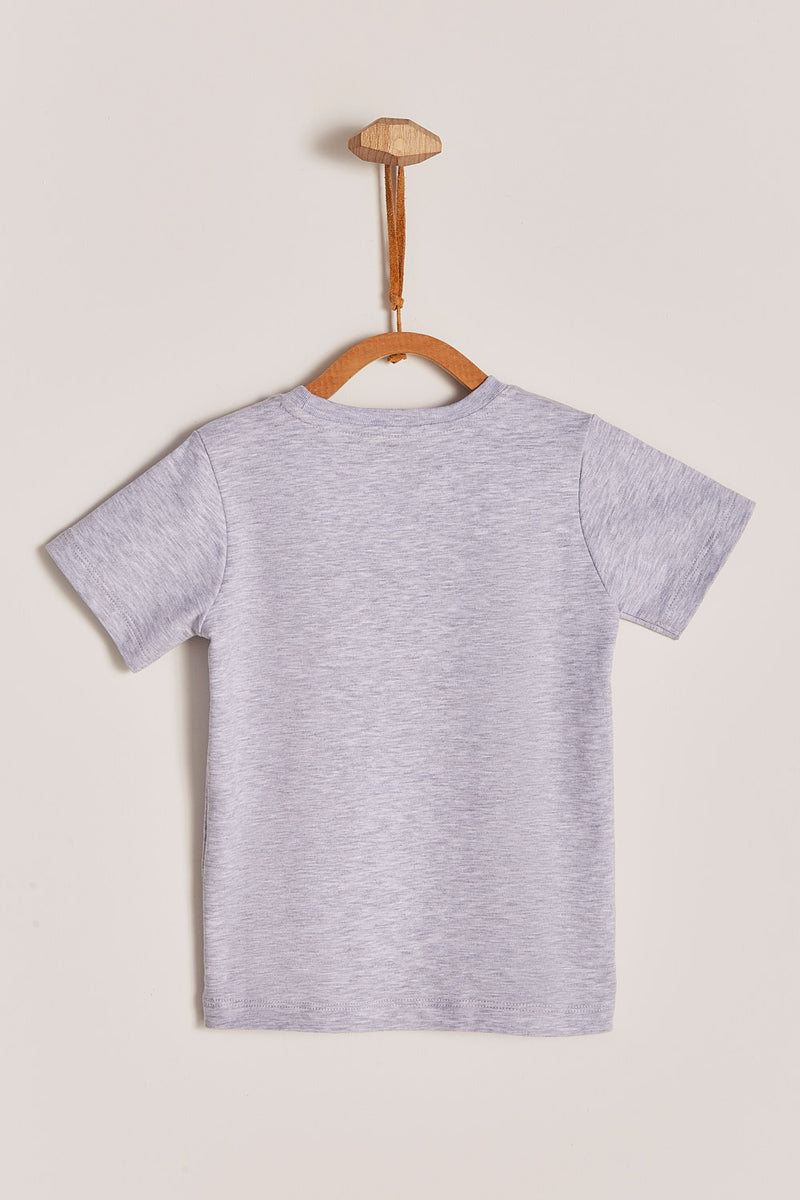 Camisa t shirt gris pima colors